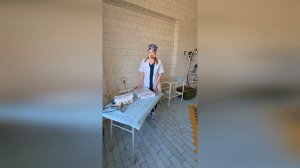 Работа благотворительного фонда