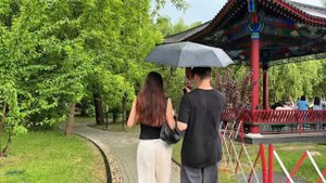 «Как устроен китайский парк в Москве: философия, расте