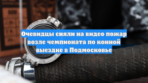 Очевидцы сняли на видео пожар возле чемпионата по конной выездке в Подмосковье