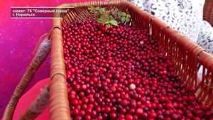 Программа "Главные новости" на 8 канале от 10.09.2025 Часть 2