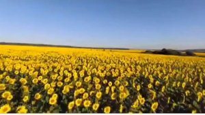 Прохладный август Отдыхай.