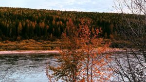 Новости Байкальского региона (09.09.2025)