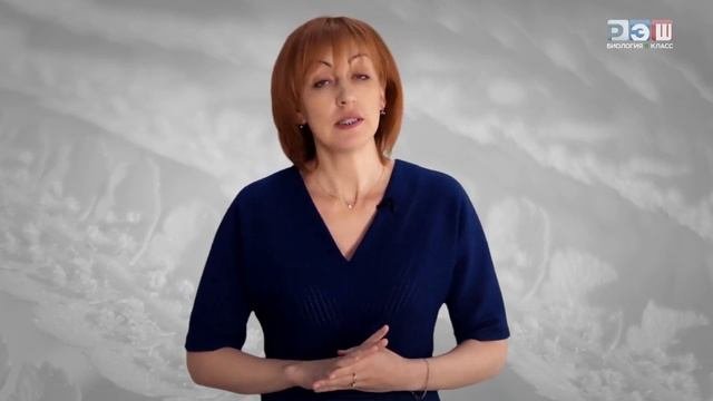 Бесполое размножение организмов