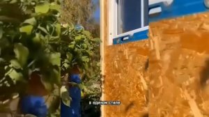 Строительство и обустройство теплой веранды.