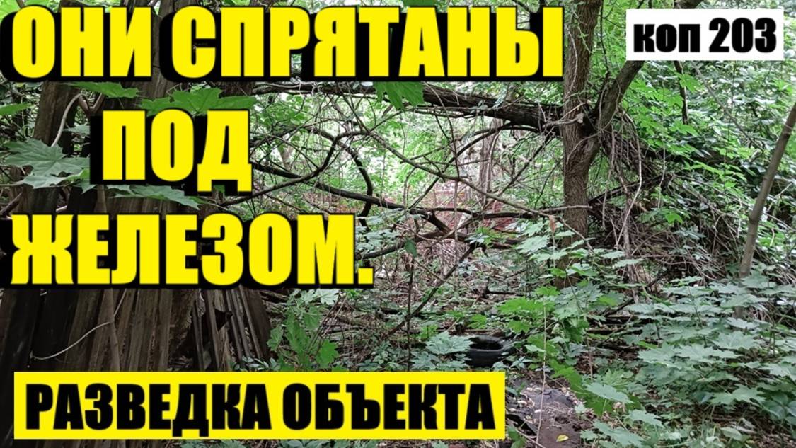ЕСЛИ ЭТО НЕ УБРАТЬ, ТО НАХОДОК НЕ ВИДАТЬ.  коп 203