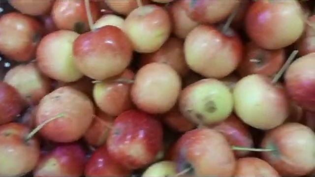 маринованные лесные яблоки #еда #яблоки// elma durşusu смотреть онлайн