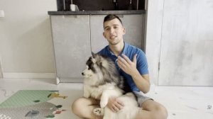 Двигаемся с Фиником в рекомендации. Требования Rutube.