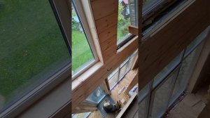 1000034171.mp4 (Собака наблюдает за устройством откосов у оконных проёмов в доме А-фрейм)