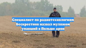 Специалист по радиотехнологиям Бескрестнов назвал муляжом упавший в Польше дрон
