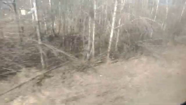 Электрика Мыза - Суроватиха смотреть онлайн