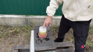 вывод маток в шестирамочных ульях