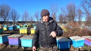 ГОДОВОЙ ЦИКЛ ЛЕЧЕНИЯ ПЧЁЛ ОТ КЛЕЩА ВАРРОА, ПЧЕЛОВОД СД