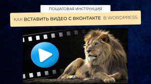 Как вставить видео с VK в Wordpress пошаговая инструкция