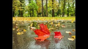 Владимир Толмачев. Скучная осень