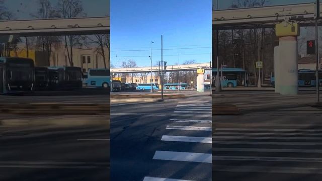 Гортензии смотреть онлайн