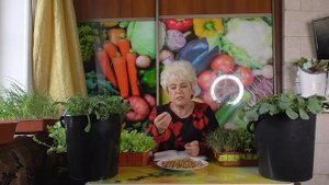 СТОИТ ЛИ ВЫСАЖИВАТЬ ЛУК ПОД ЗИМУ? Ольга Чернова