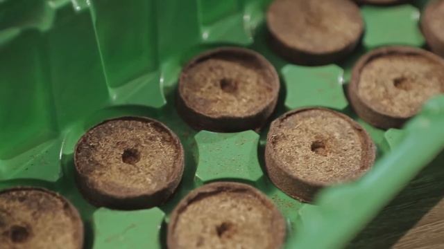 Мини теплица с торфяными таблетками смотреть онлайн