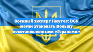 Военный эксперт Кнутов: ВСУ могли атаковать Польшу восстановленными «Геранями»