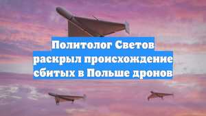 Политолог Светов раскрыл происхождение сбитых в Польше дронов