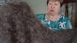 07.09 2025 г Мои пуховые козы далеко пасутся а тепло от них дома Заказать 89921452392 ватсап