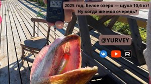 2025 год Белое озеро — щука 10,6 кг! Ну когда же моя очередь?
