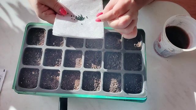 Новый для меня метод посадки лука Эксибишен смотреть онлайн