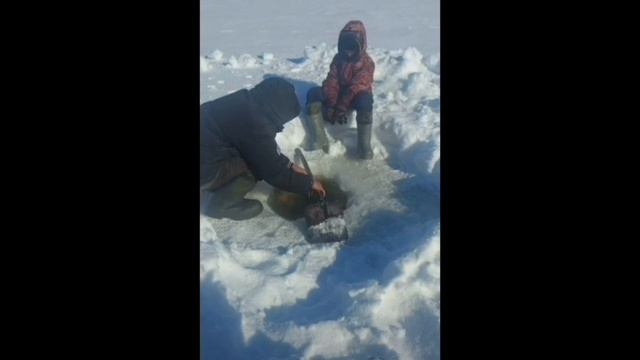 Юкагиры.с. Андрюшкино, Курилова Эдьилика смотреть онлайн