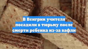 В Венгрии учителя посадили в тюрьму после смерти ребенка из-за вафли