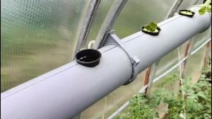 Гидропоника своими руками.