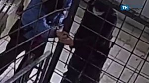 В Туле установили личности подростков, которые сломали замки в многокрватирном доме, чтобы попасть н