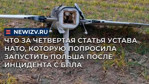 Что за четвертая статья устава НАТО, которую попросила запустить Польша после инцидента с БПЛА