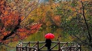 Осень.Монтаж Светланы Бузаевой.