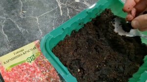 САЖАЮ ГЕЙХЕРУ ИЗ СЕМЯН. СПОСОБ ПРОВЕРЕННЫЙ. ПРОСТОЙ И ?