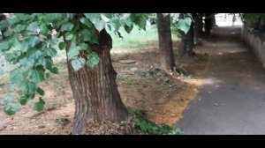 Как назвать тех, кто на глазах уничтожает КУРОРТ Кисло