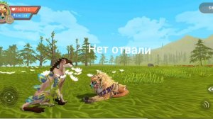 типы игроков wildcraft