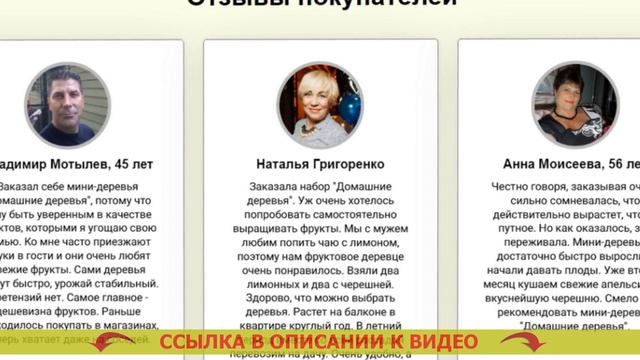 🔴 Домашнее дерево в горшке 👍 Купить карликовые дере? смотреть онлайн
