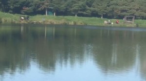 хороший утренний клёв на большом водоёме