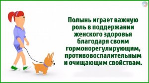 Полынь: Лечебное чудо или опасная трава? Узнайте правд