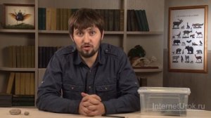 Тип Членистоногие. Видеоурок по биологии 7 класс