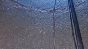 Жск. Шаганино. Мало воды и мутная вода. podkapaev.ru 89166141907