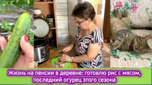 Жизнь на пенсии в деревне: готовлю рис со свининой, последний огурец этого сезона