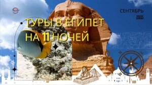 ТУРЫ В ЕГИПЕТ НА 11 НОЧЕЙ В СЕНТЯБРЕ ОТ 71000 РУБЛЕЙ/ЧЕЛ