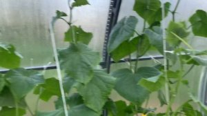 Обогрев теплицы кондиционером