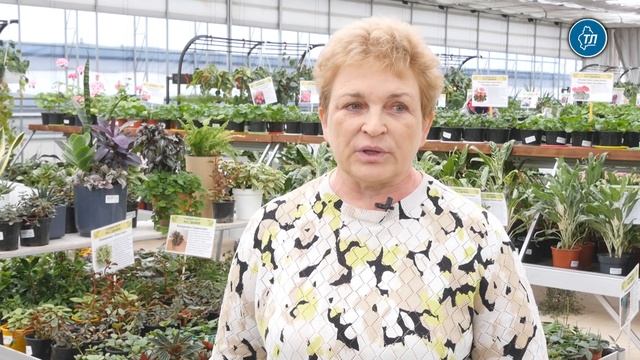 Среди тюменских садоводов пользуются популярностью е смотреть онлайн