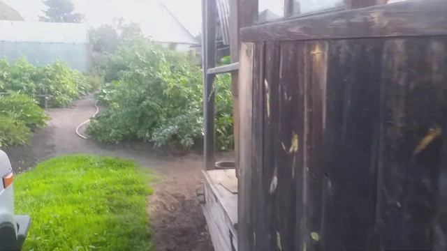 дедушка и два ящика помидор смотреть онлайн