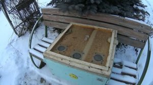 Перегородка Снелгрова в системе пчеловодства "Всё вкл