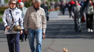 В Госдуме предложили индексировать пенсии четыре раза в год