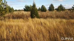 ЧУДО, КАК ХОРОША НАША МИЛАЯ ОСЕНЬ🍁🍂🍃