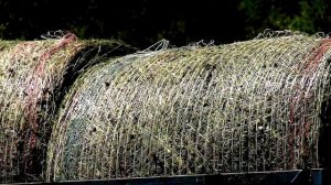 В Тверской области возобновляет работу образовательный проект -Школа фермера-