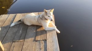 Рыбалка в моментах. 08-09-2025